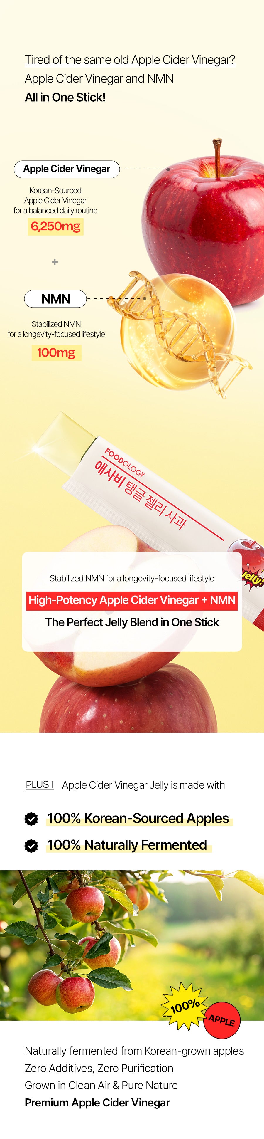 FOODOLOGY ACV Green Tangerine Jelly, 10 Sticks (250 g) detail 8