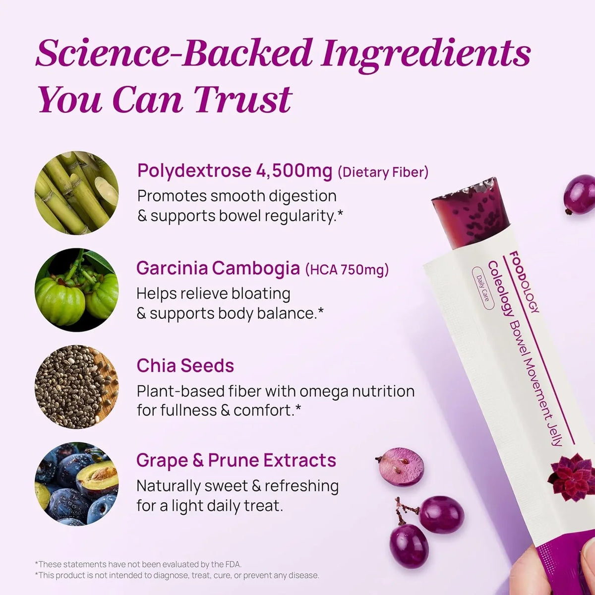 FOODOLOGY Bowel Movement Jelly ingredient graphic showing polydextrose, garcinia, chia seeds, grape and prune