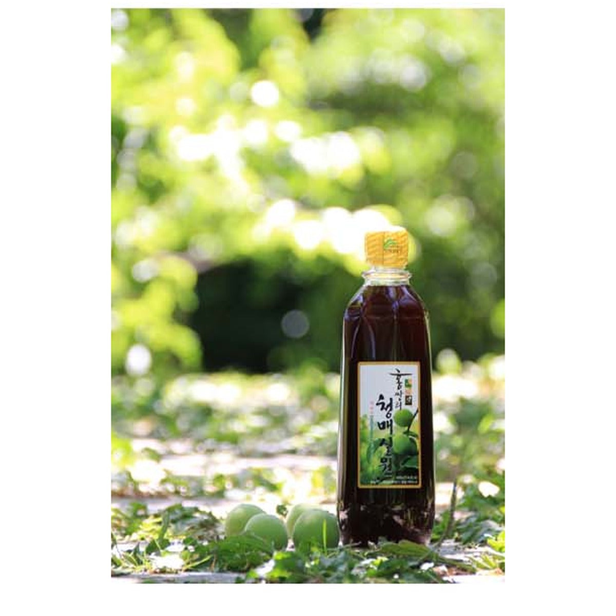 Hongssangri plum concentrate bottle in the Gwangyang plum orchard