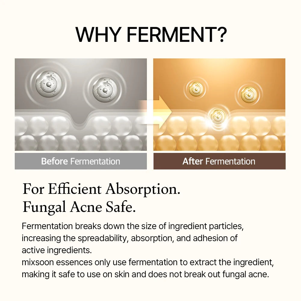 mixsoon Bean Essence fermentation explainer graphic