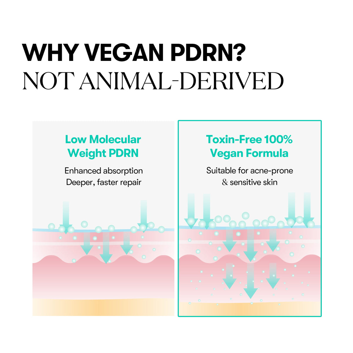 VT Cosmetics PDRN Capsule Cream 100 1.69 fl oz (50 ml) — brand graphic explaining plant-derived PDRN