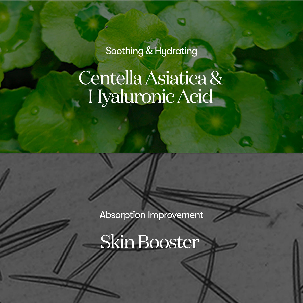 Centella asiatica and hyaluronic acid, soothing and hydrating
